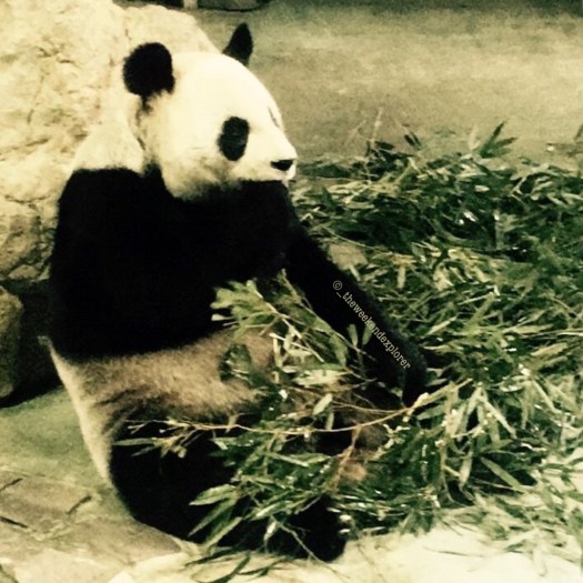 thumb_temp (1)_1024 3