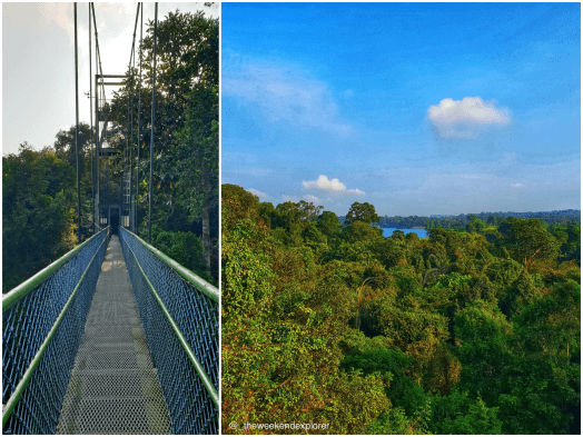 PicsArt_03-21-11.21.16